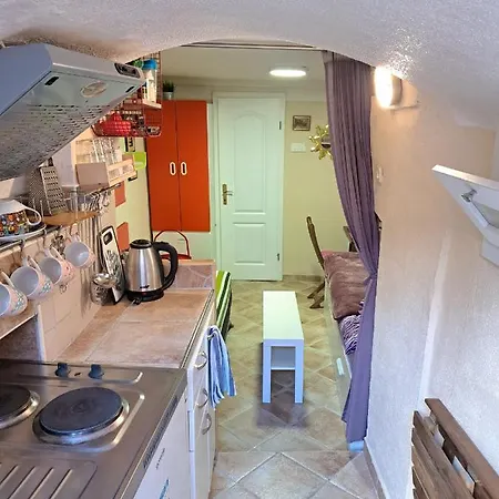 Apartment Tomic *